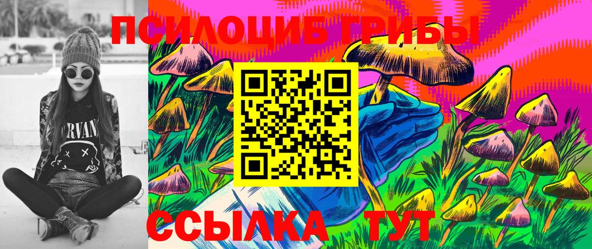Псилоцибиновые грибы MAGIC MUSHROOMS  Псилоцибиновые грибы ЛСД  Вход с VPN  Новочеркасск 