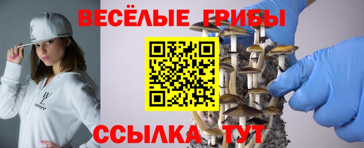 Галлюциногенные грибы мухоморы Новочеркасск