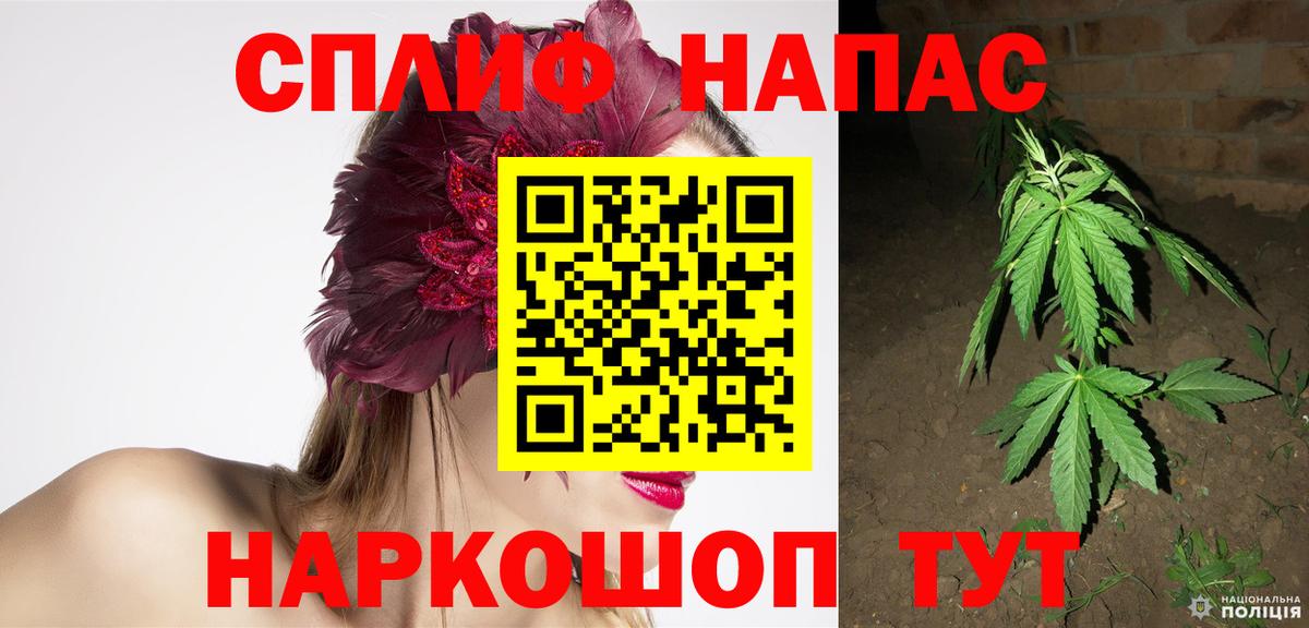 Бошки Шишки ГИДРОПОН Новочеркасск
